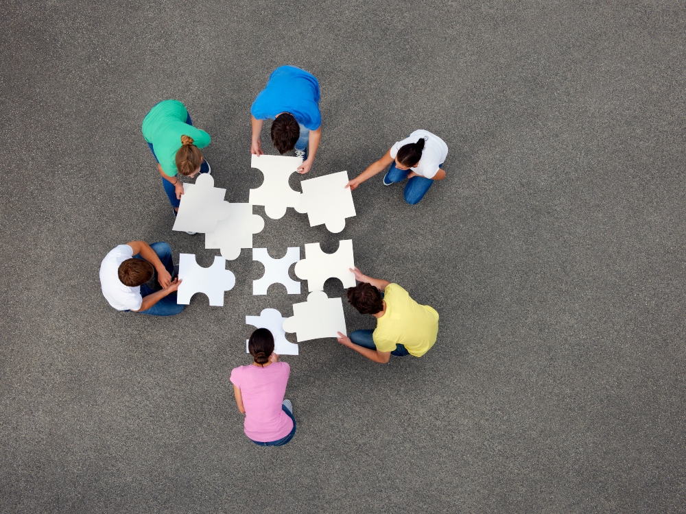 Team members team working