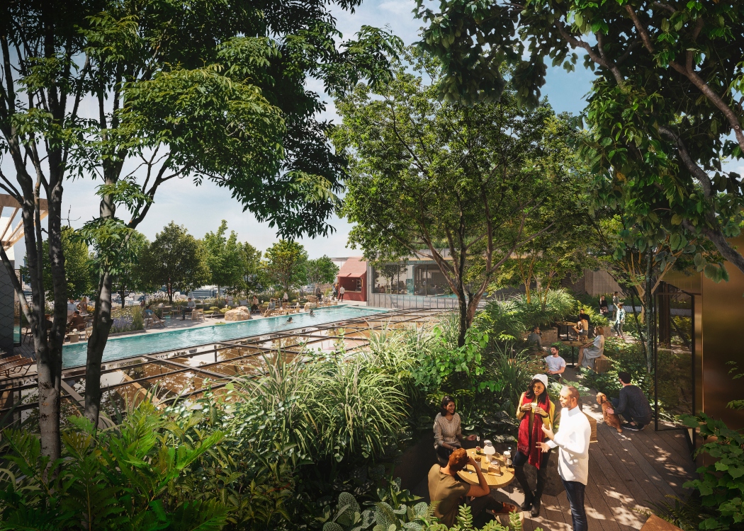 Roots in the sky's rooftop pool and community area